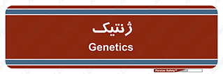 , دی ان ای , 