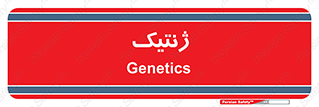  , دی ان ای , 
