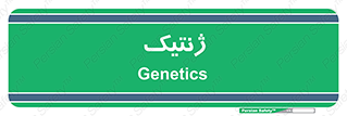  , دی ان ای , 