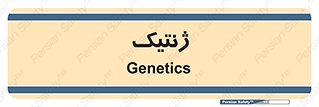  , دی ان ای , 