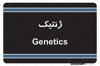  , دی ان ای , 