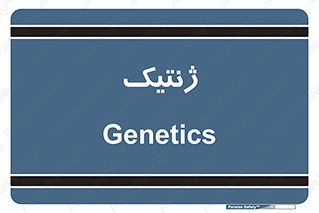  , دی ان ای , 