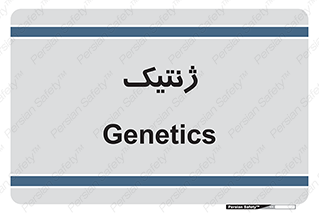  , دی ان ای , 