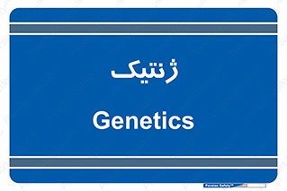 , دی ان ای , 
