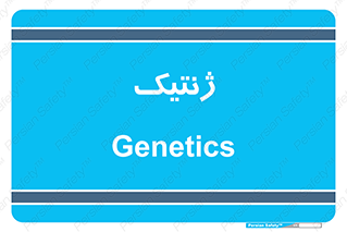  , دی ان ای , 