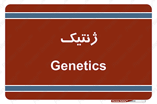  , دی ان ای , 