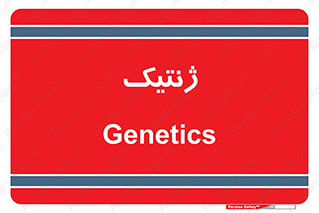  , دی ان ای , 