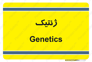 , دی ان ای , 