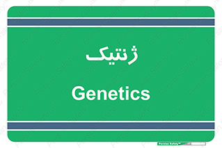  , دی ان ای , 