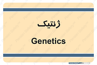  , دی ان ای , 