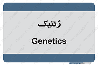  , دی ان ای , 