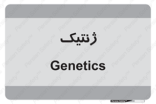  , دی ان ای , 