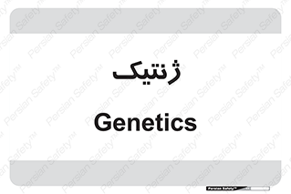  , دی ان ای , 