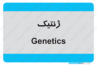  , دی ان ای , 