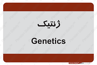  , دی ان ای , 