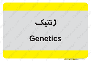  , دی ان ای , 