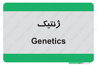  , دی ان ای , 