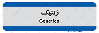  , دی ان ای , 