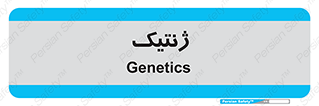 , دی ان ای , 