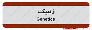  , دی ان ای , 