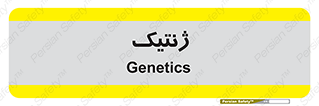  , دی ان ای , 