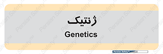  , دی ان ای , 