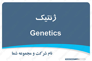  , دی ان ای , 