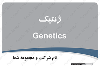  , دی ان ای , 