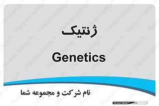  , دی ان ای , 