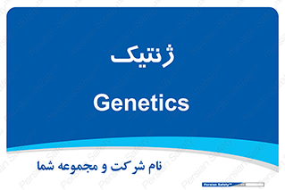  , دی ان ای , 