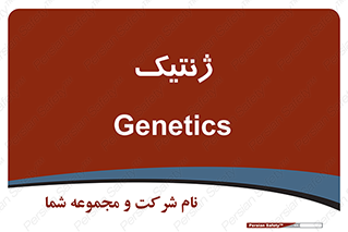  , دی ان ای , 