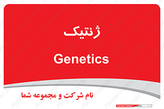  , دی ان ای , 