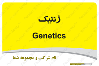  , دی ان ای , 