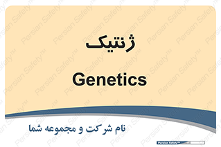  , دی ان ای , 
