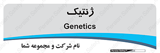  , دی ان ای , 