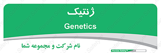  , دی ان ای , 
