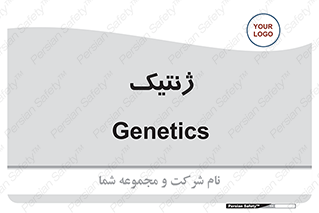  , دی ان ای , 