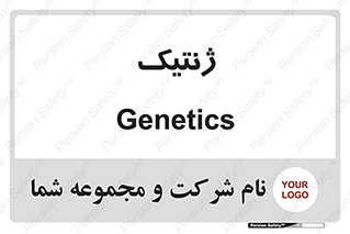  , دی ان ای , 