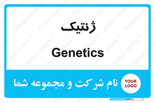  , دی ان ای , 