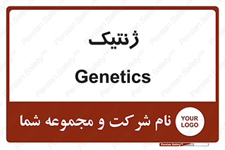  , دی ان ای , 