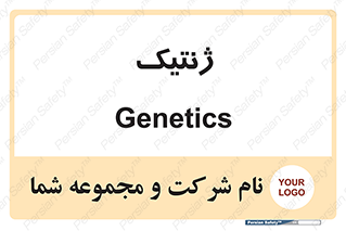  , دی ان ای , 
