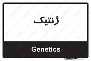  , دی ان ای , 