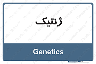  , دی ان ای , 