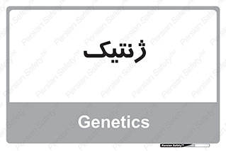  , دی ان ای , 