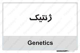  , دی ان ای , 