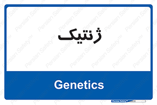  , دی ان ای , 
