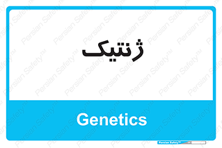  , دی ان ای , 