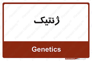  , دی ان ای , 
