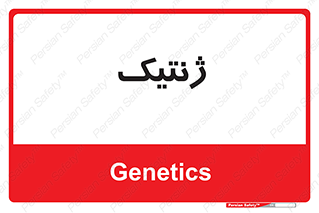  , دی ان ای , 