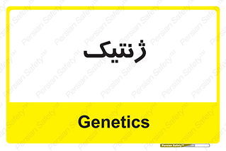  , دی ان ای , 